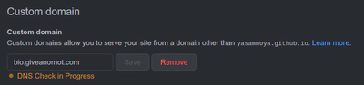 GitHub Pages custom domain setting screenshot